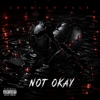 Crimson Vale - Not Okay  artwork