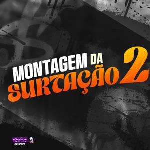 Montagem da Surtação 2 (feat. MC MULEKINHO, MC BRINQUEDO, MC GRINGO 22, MC LIPEX, MC RELL & MC RANDOM)