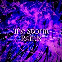 The Storm (Remix) - Single - LUIS JIMENEZ