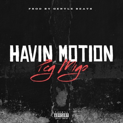 Havin Motion - Single