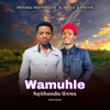 Wamuhle Ngithanda Wena - Mthoko Mathebula & Musa Simbine