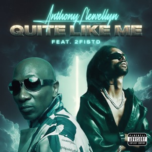 Quite Like Me (feat. 2FISTD)