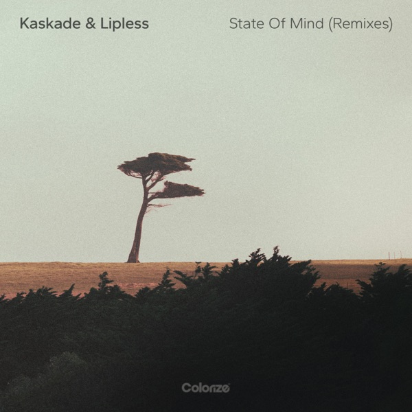 State of Mind (Remixes) - Single