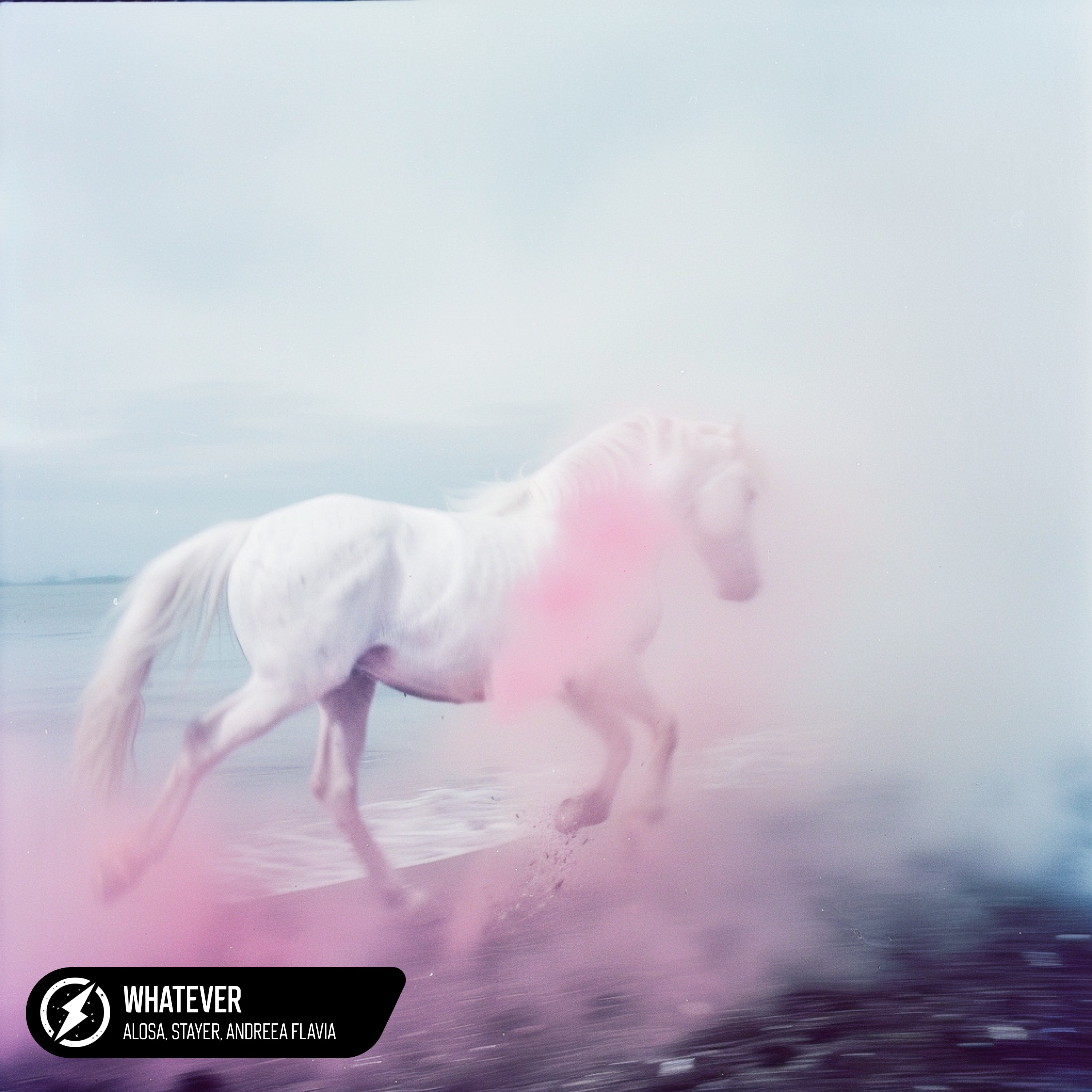 Alosa, Andreea Flavia - Whatever