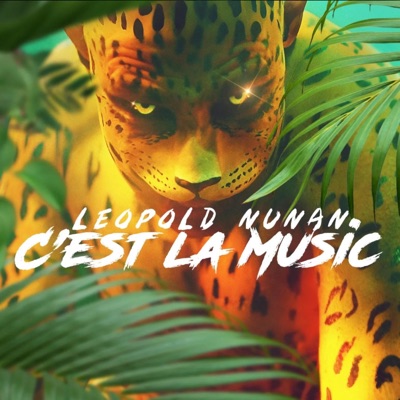 C'est la Music (Lucio K Remix) - Single