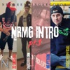 NRMG Intro Pt.1 (feat. Mr Python, FOCUSTHEOFFICIAL, 22 Shottas & SmackkedRN) - Single