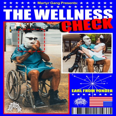 THE WELLNESS CHECK