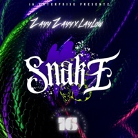 Snake (feat. LaylowBMK) - Single - Zayy Zayy