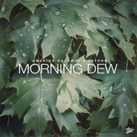 Morning Dew - Single - Amerigo Gazaway & Satoru