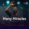 Many Miracles - Essemm. lyrics