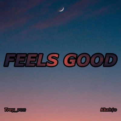Feels Good - Single