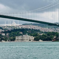 safe bet. - Single - soba star