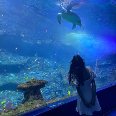 CUTE EMOTIONS - Single