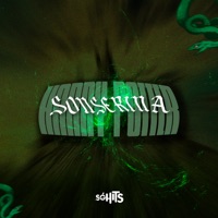 Sonserina Harry Potter (feat. DJ NEGUEBA ORIGINAL) - Single - MC HK DA 7, MC TURZIN & MC D12 OFICIAL