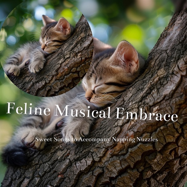 Feline Musical Embrace: Wrapping Kitties in a Cocoon of Calm