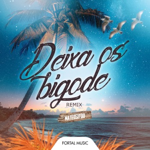Deixa os Bigode (feat. MC Leozinho ZS & MC HARIEL) [Remix]