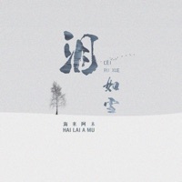 泪如雪 (DJ默涵版) - Single - Hai Lai Amu