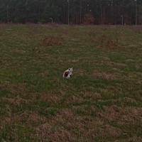 To miłe (Serio) - Single - Lotar