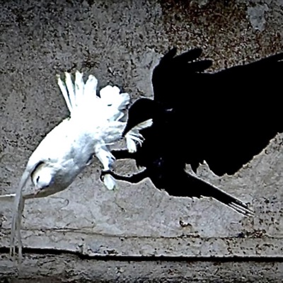 Demonic Attraction (feat. E.M. McCool) - Single