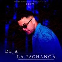 Deja La Pachanga (feat. Rey's) - Single - DJ K11