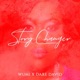 Story Changer Single