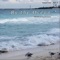 High Tides - Forest G. lyrics