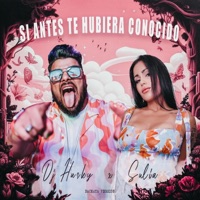 Si Antes Te Hubiera Conocido (Bachata Version) - Single - DJ Husky