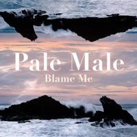 Blame Me - Single - Pale Male