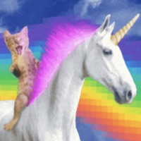 Simulation_Files - EP - dj catnip & UNORDINARYBEATS