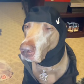 øh lørd (feat. Cor519) Killxmenta