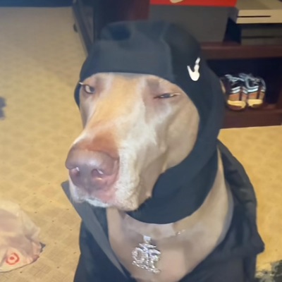 øh lørd (feat. Cor519) - Single