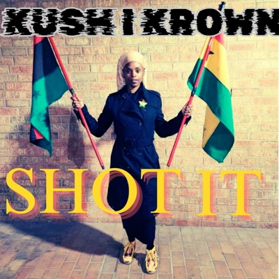 Shot It - Single
