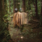 Forastero artwork