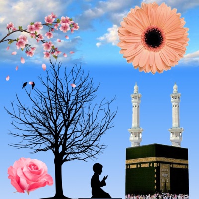 Deepaka Sahu - Sab Log Dhoke baj Hai Allah Par Bharo