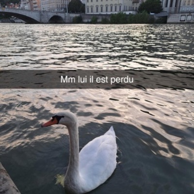 Pas besoin de moi - Single
