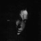 Dusk (Ash Koosha remix) - Chelsea Wolfe lyrics