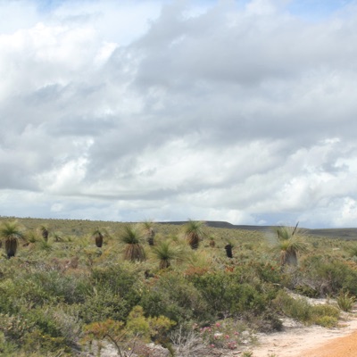 Didgeridoo and piano (loungeroom jam) (feat. Julian Silburn) - Single