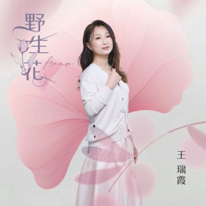 過暝的相思 (三立八點檔願望片尾曲及三立一家人片尾曲)