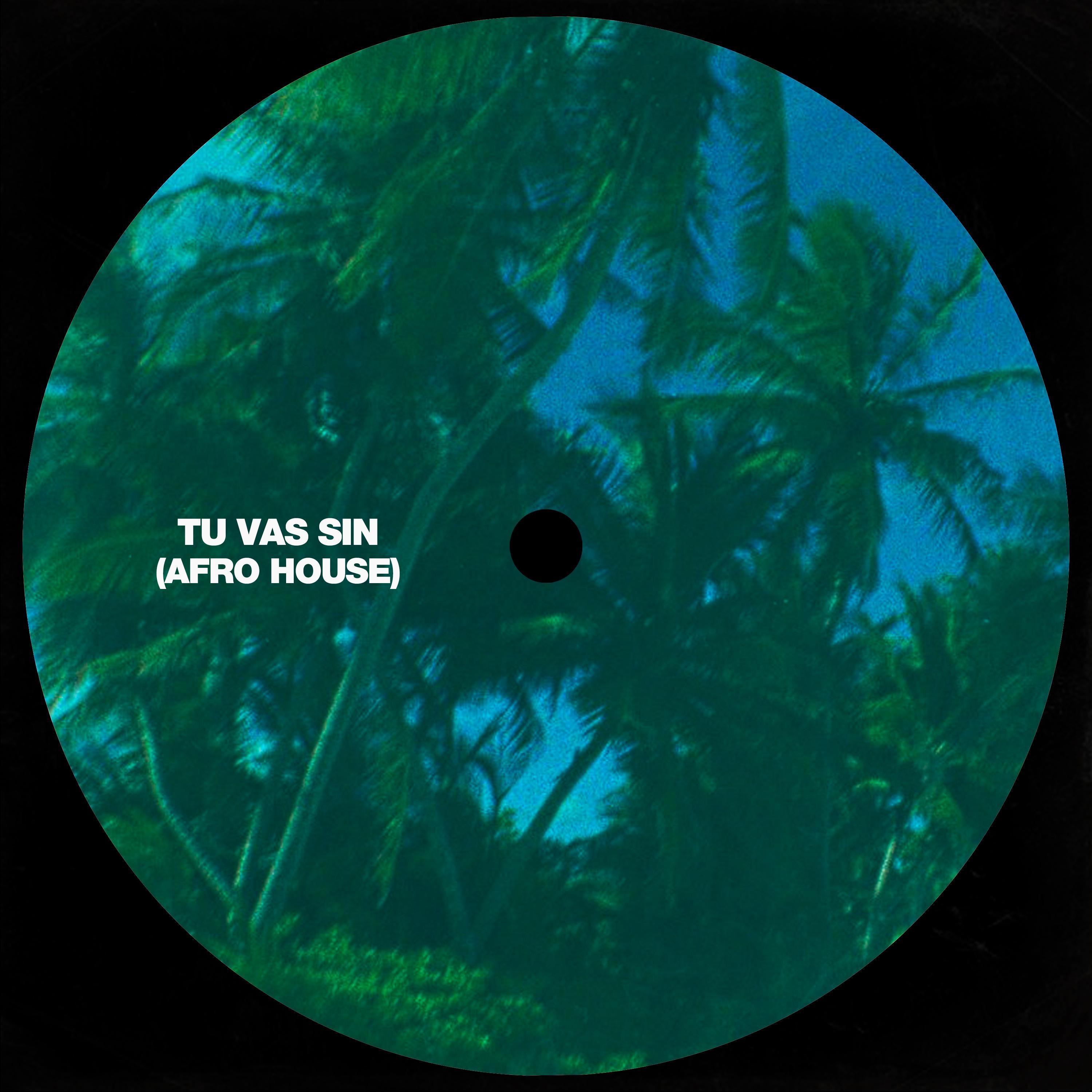 TU VAS SIN (Afro House) (feat. Take Music House) - Single