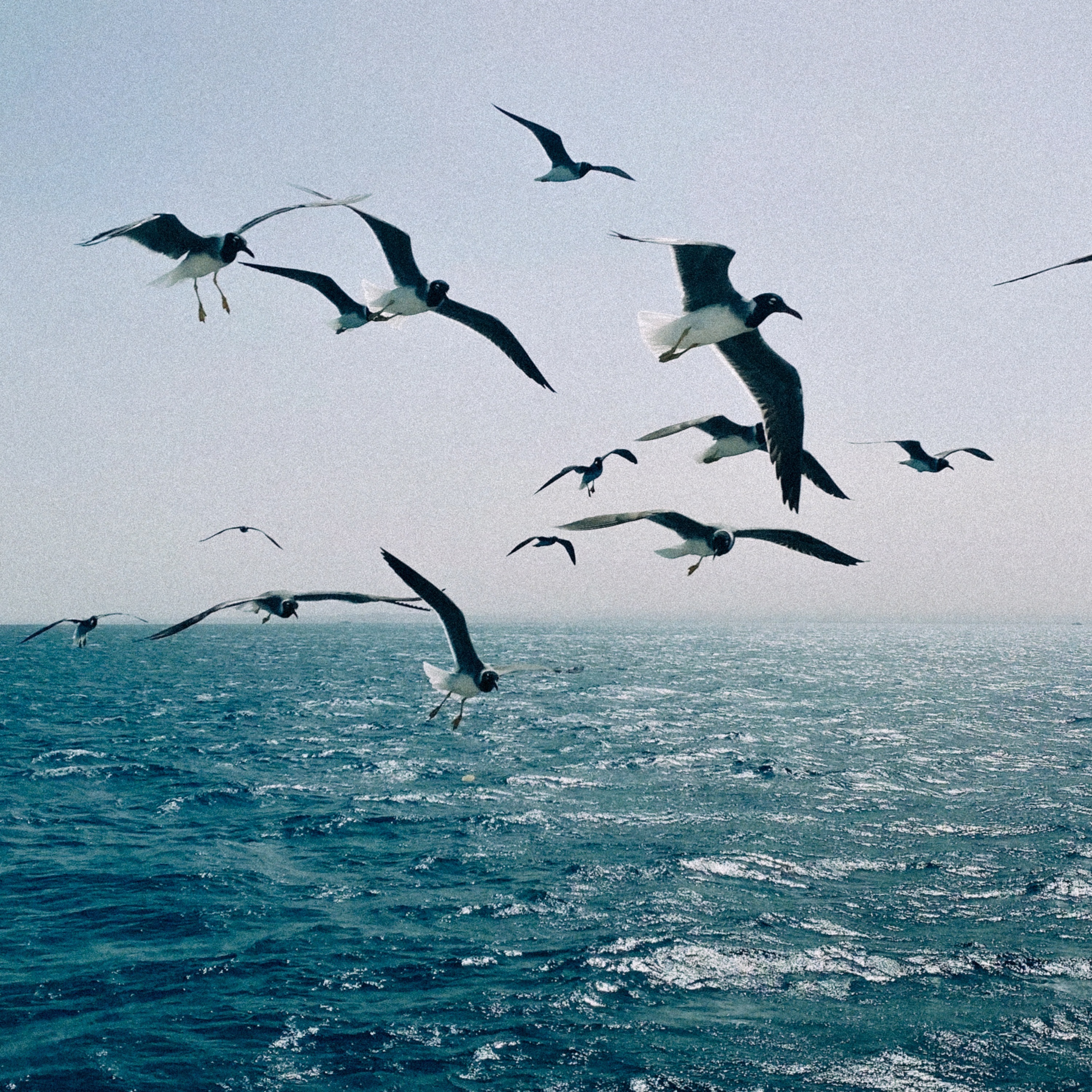 моє море (Acoustic version) - Single