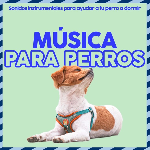 Música Para Perros - Sonidos Instrumentales Para Ayudar a Tu Perro a Dormir