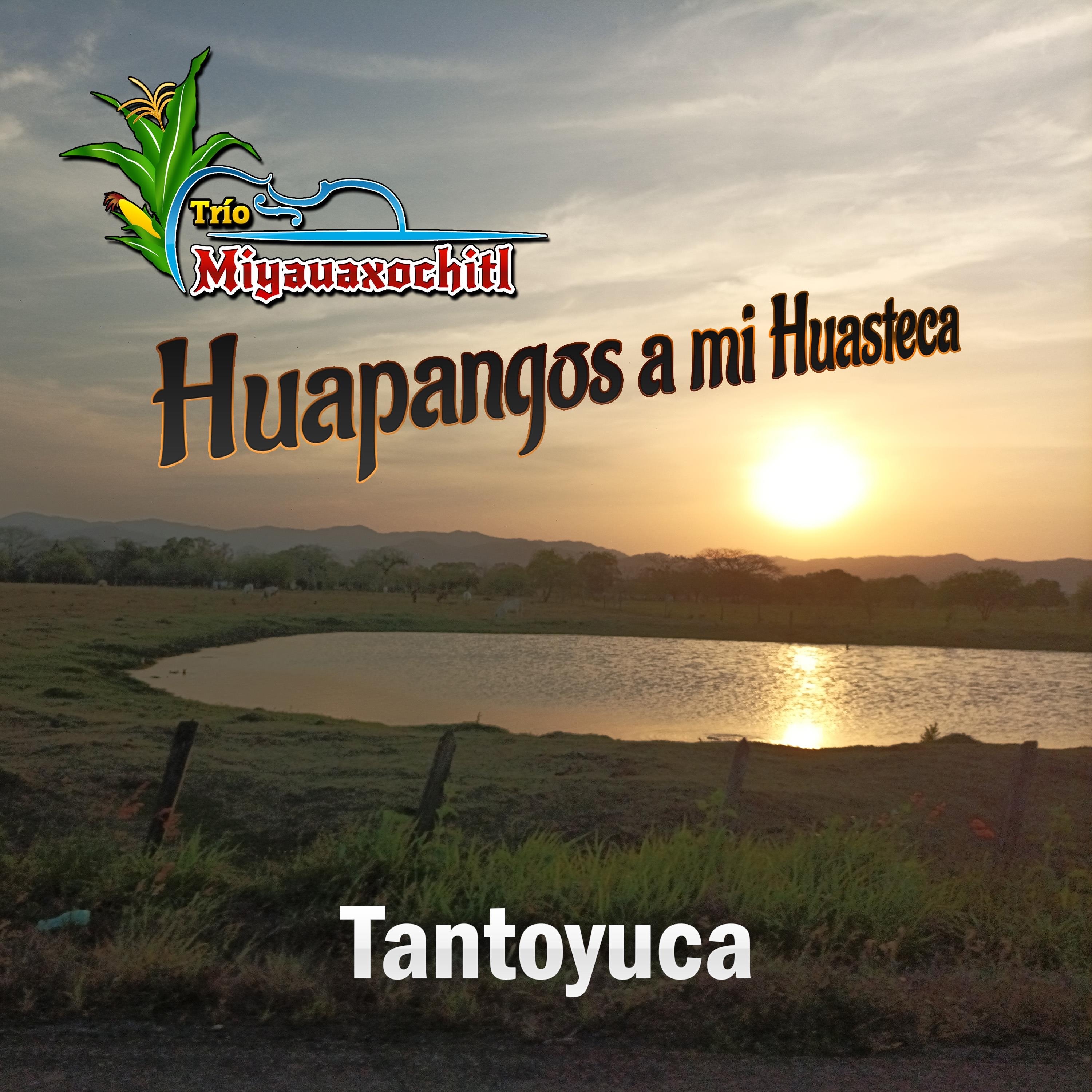 Huapangos a Mi Huasteca - EP