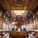 Sonnet 18 feat Fay Claassen Metropole Orchestra Single