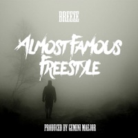 Almost Famous Freestyle - Single - Breeze