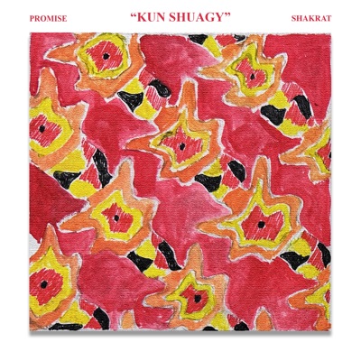KUN SHUAGY - Single