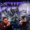 Mota En Mi Sistema - Single (feat. MCNB) - Single