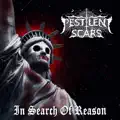 In Search Of Reason