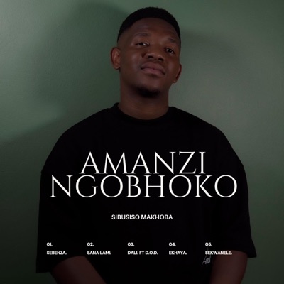 Amanzi Ngobhoko - EP