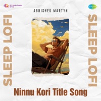 Arun Gopan, Gopi Sundar & Shiva Nirvana - Ninnu Kori Title Song (Sleep Lofi)