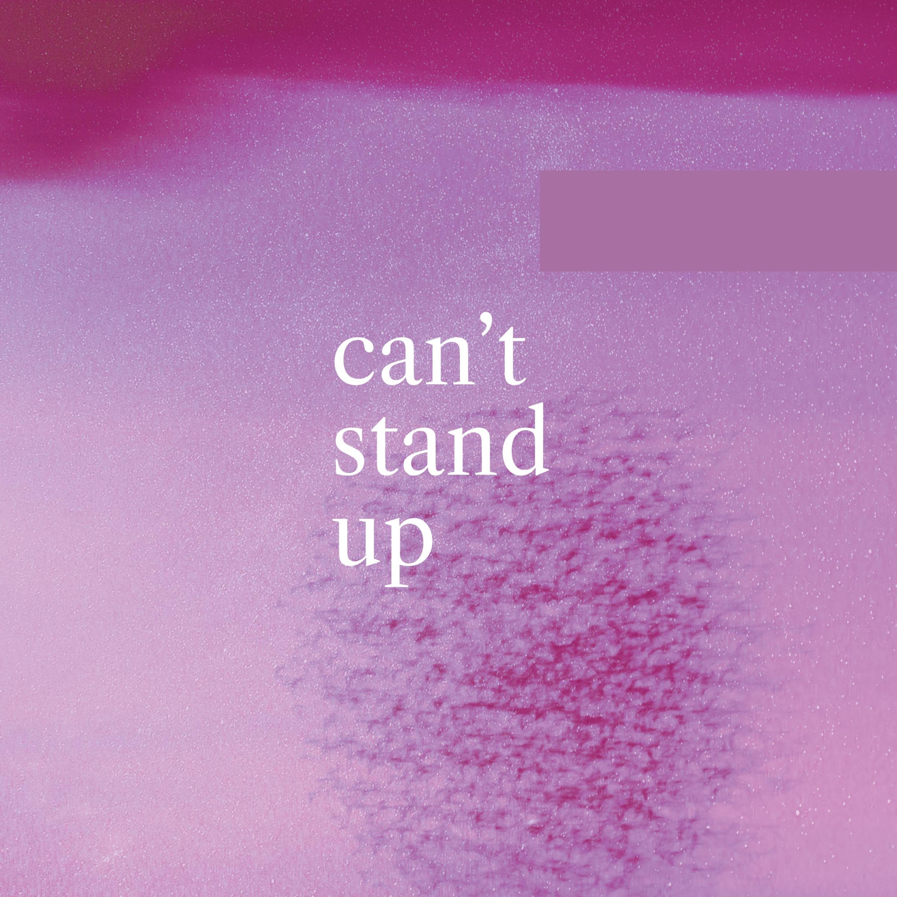 Can't Stand Up - Single